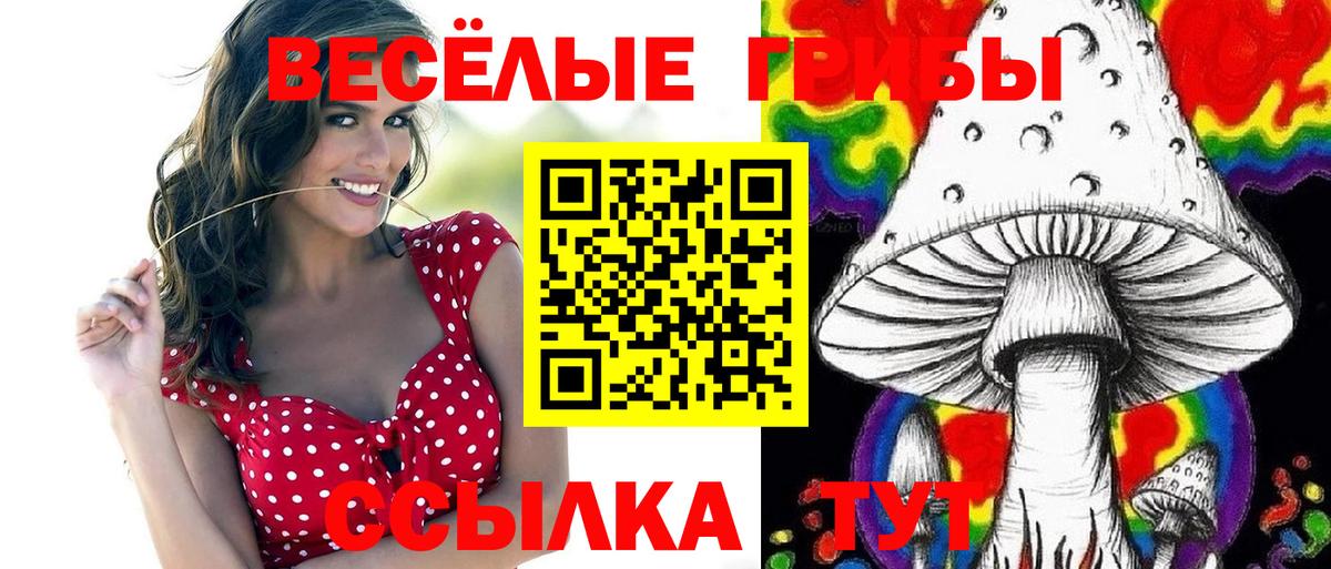 Галлюциногенные грибы GOLDEN TEACHER Кушва